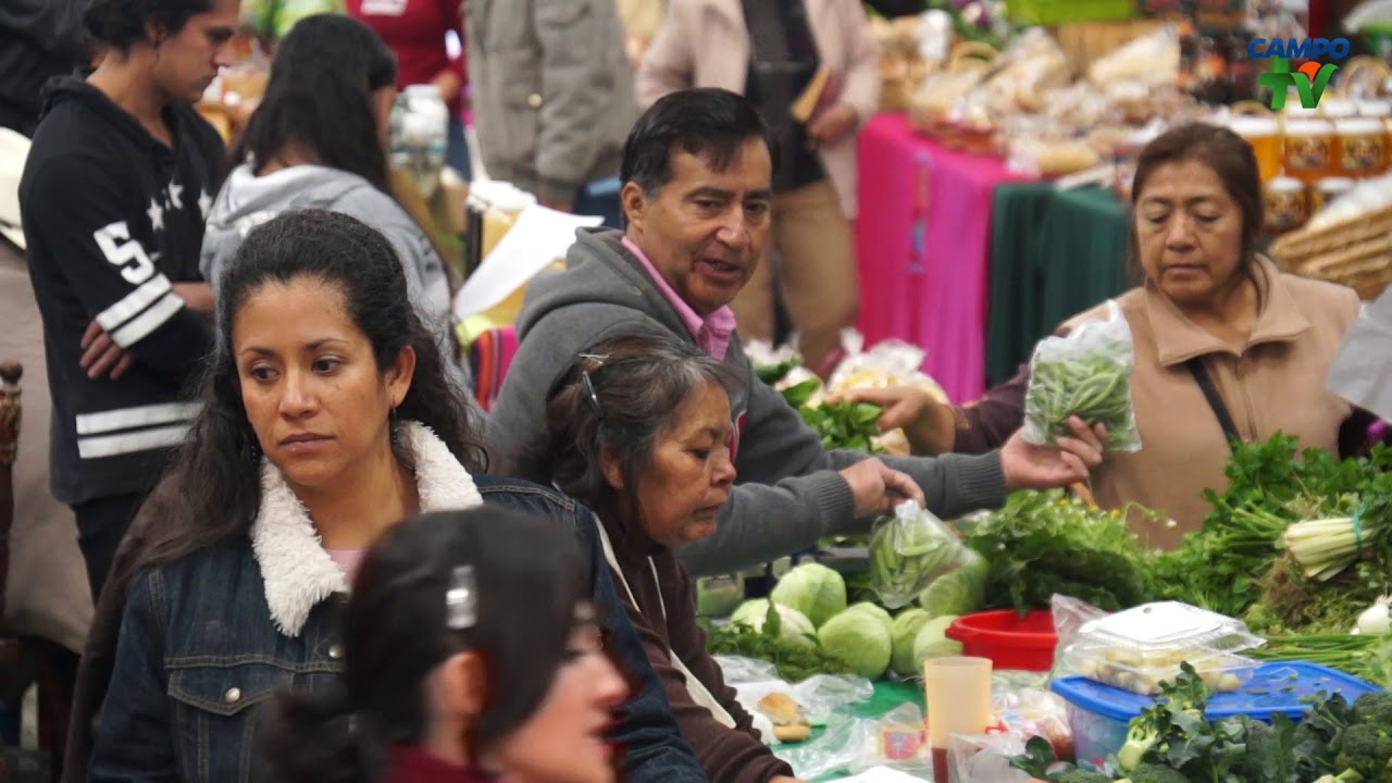 Tianguis Orgánico Chapingo
