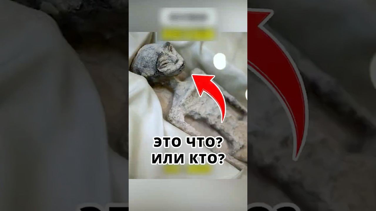😱 Нашли Инопланетную Гробницу!