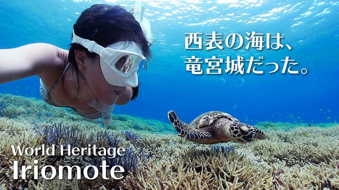 Snorkeling in World Heritage Iriomote  | Ray Reef | Hatoma and Barasu