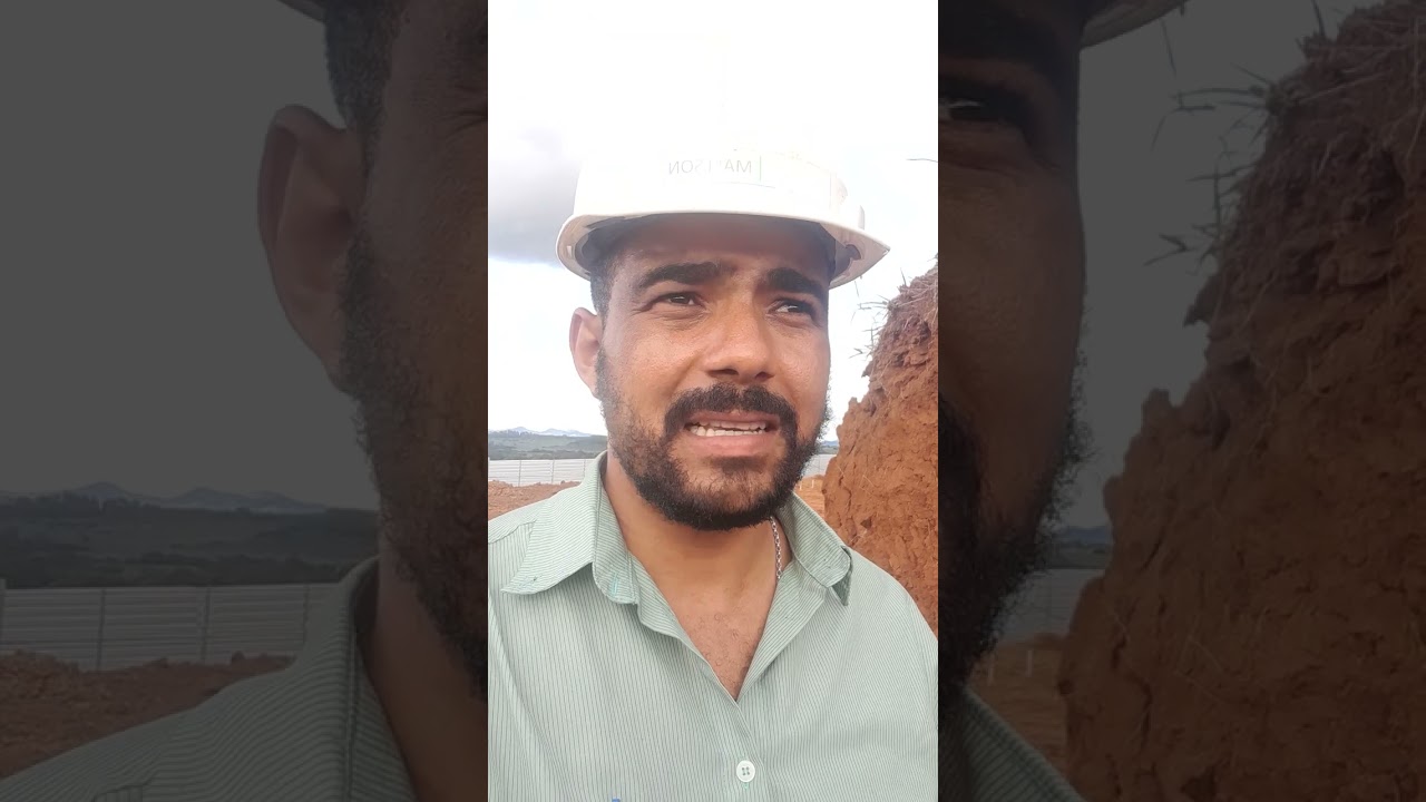 Profundidade das ra&iacute;zes do capim Brachiaria ou Braqui&aacute;ria!