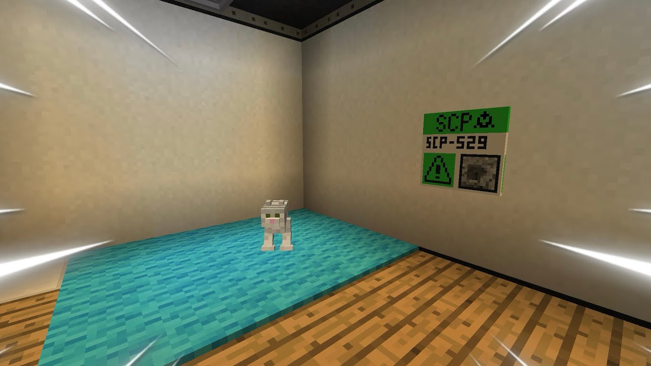 NON ACCAREZZARE QUESTO GATTO!! Minecraft SCP 529
