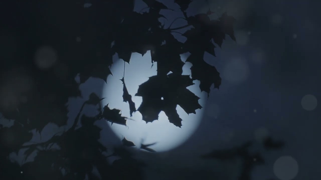 How the Moon Affects Life on Earth &ndash; The Hidden Influence