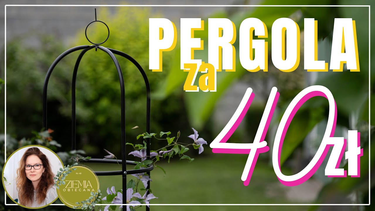 Pergola za 40zł - TEST
