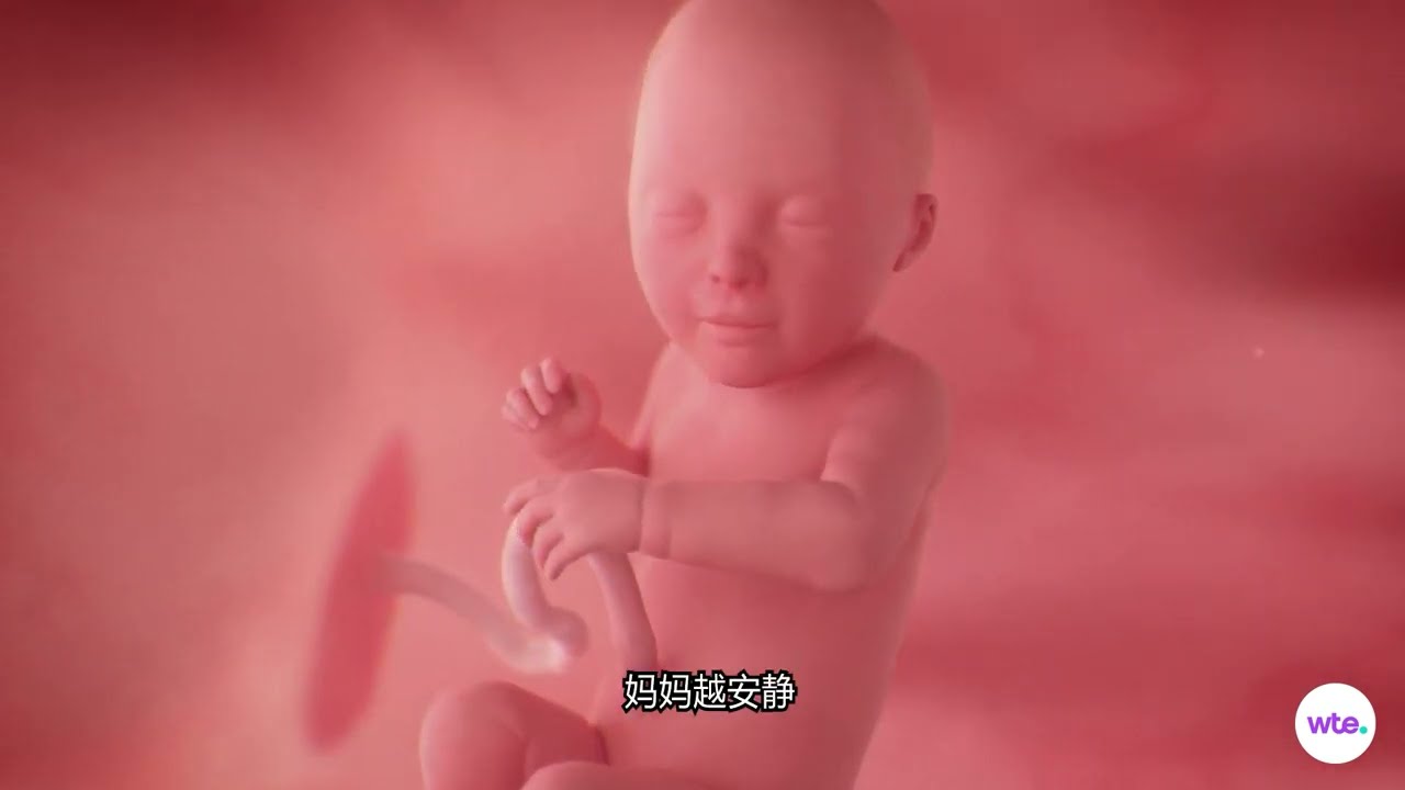 （孕晚期29-40周）姐妹们！宝宝已经迫不及待要见妈妈啦💕