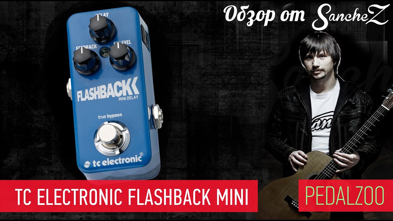 TC Electronic Flashback Mini - Обзор от Sanchez