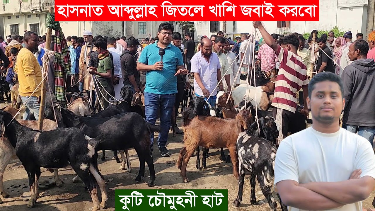কুটি চৌমুহনী হাট থেকে খামার উপযোগী ও মাংসের ছাগলের দাম জানুন Goat price 2026