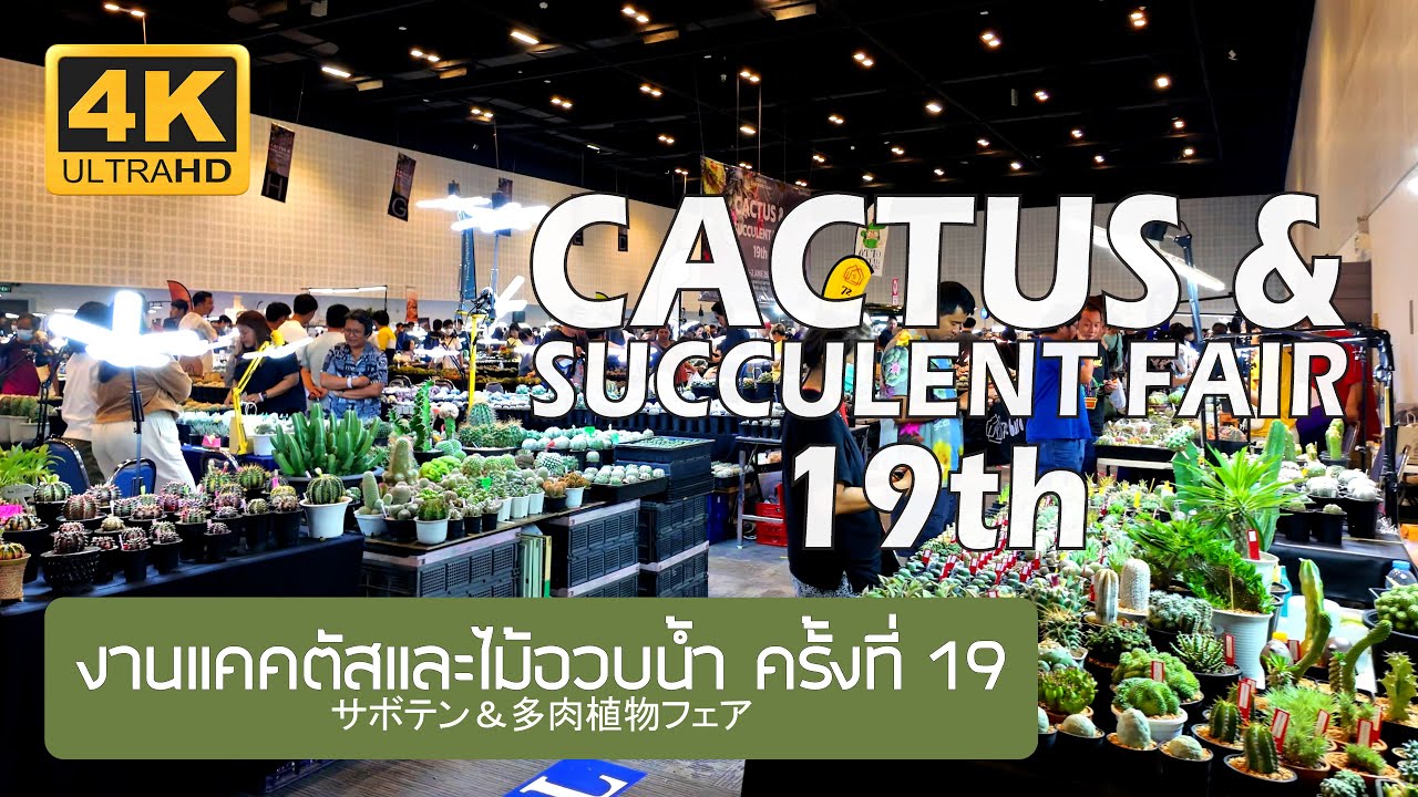 19th Cactus & Succulents Fair 2024 งานแคคตัสและไม้อวบน้ำ ครั้งที่ 19 2567 Bangkok Thailand