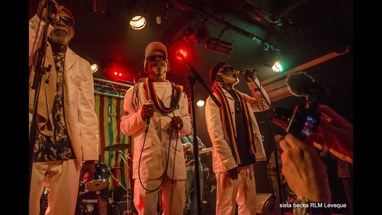 My Mission Are Possible - The Viceroys @ New Morning, Paris 2015