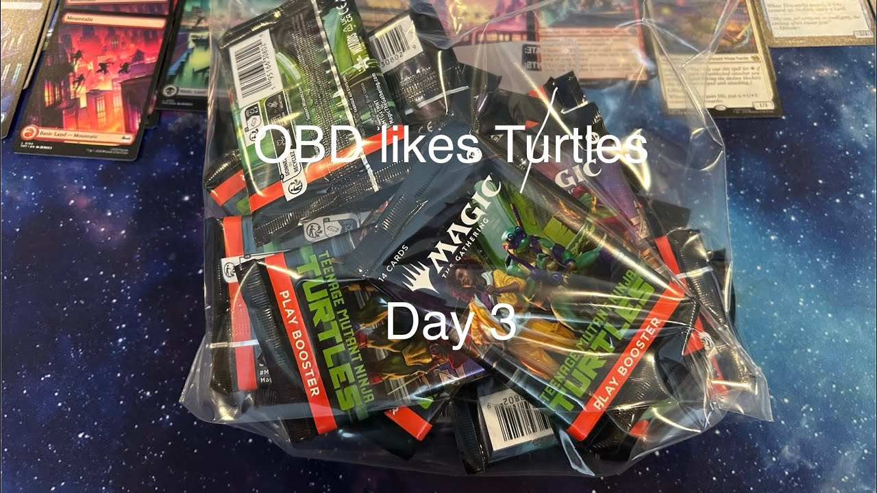 OBD likes Turtles : Day 3