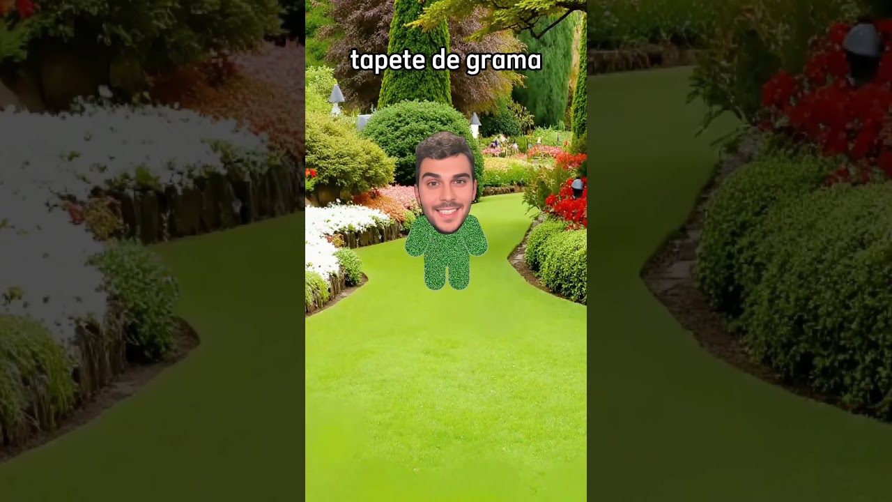 Como entrar em qualquer estádio sem ingresso (Tutorial)