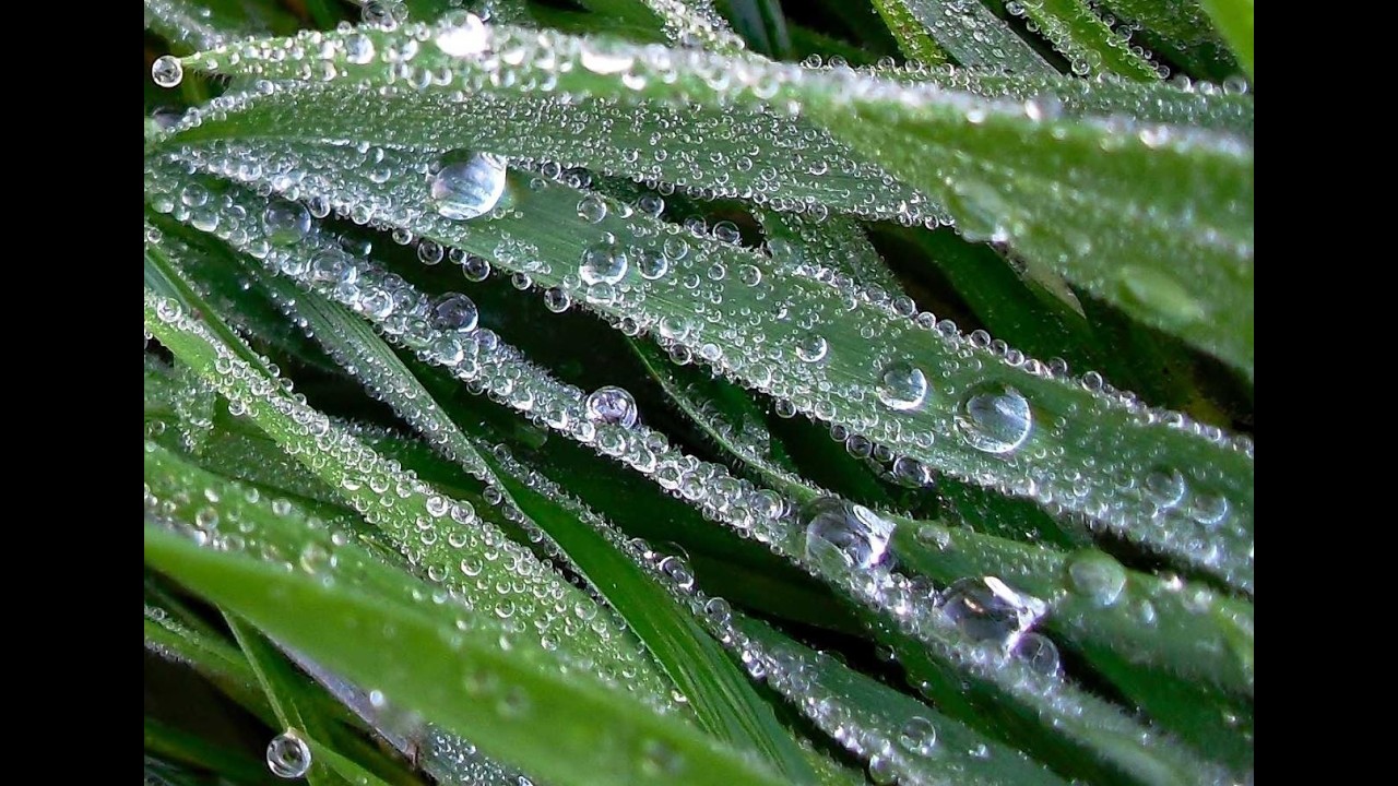 The Book of Enoch Chapter 75