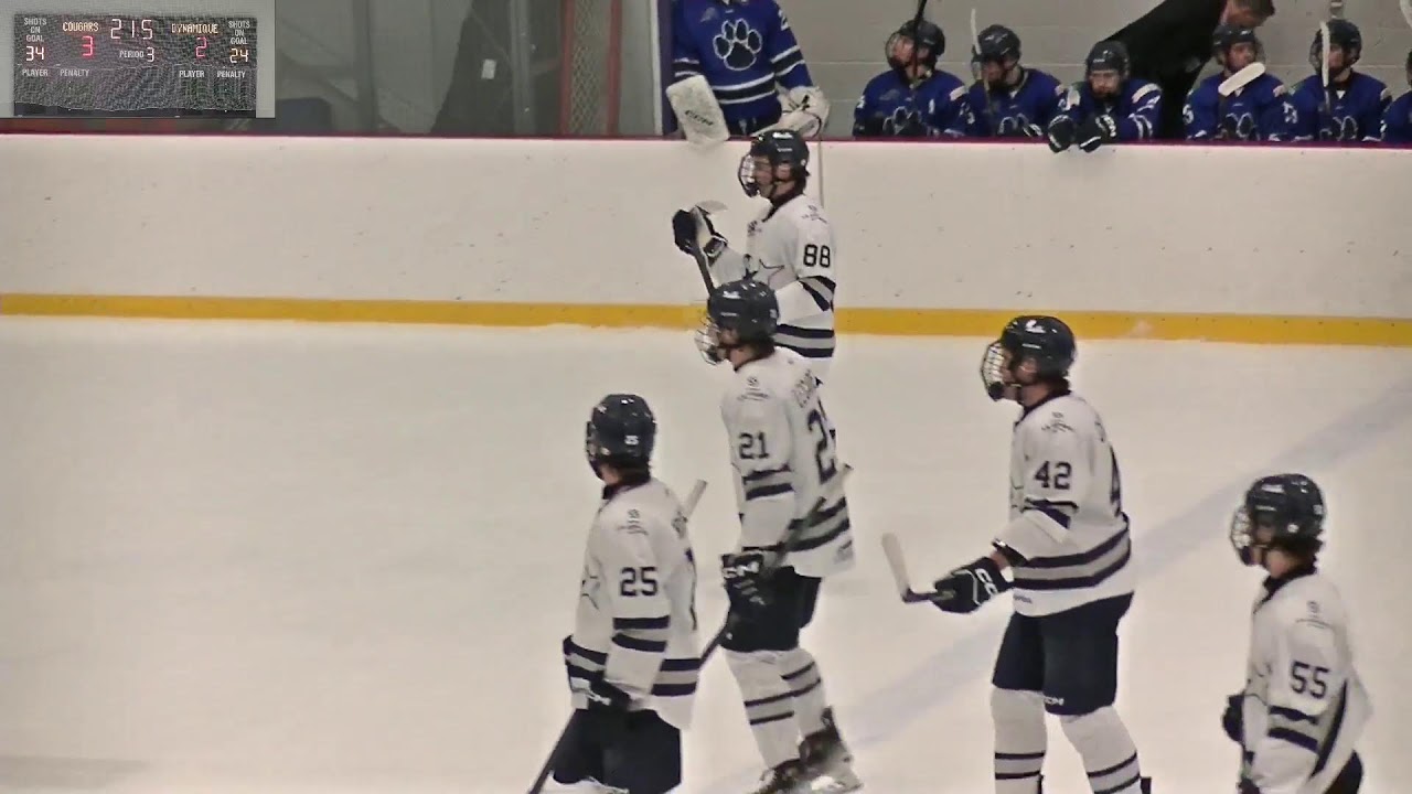 RSEQ Hockey masculin 🏒  Sainte-Foy @ Lennoxville [2026-01-18]
