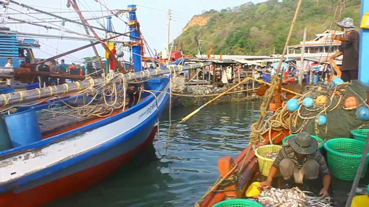 Fisherman's Life