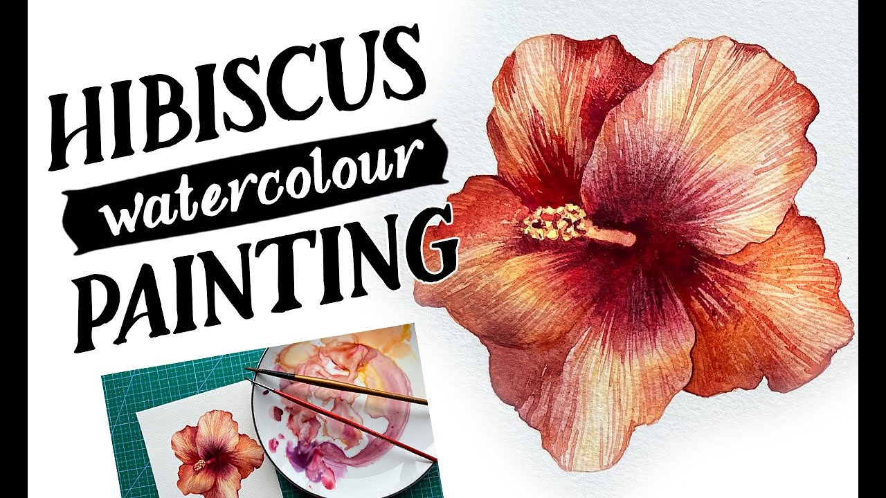 HIBISCUS watercolour painting