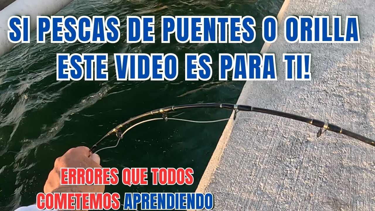 Errores Que Cometen Los Principiantes En La Pesca De Orilla O Puentes !
