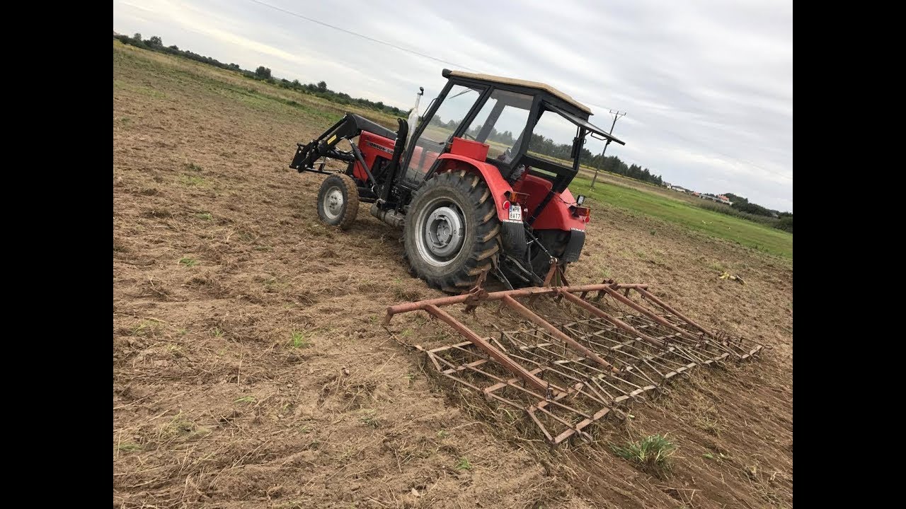 Bronowanie Ursusem C-360 pola przed orką |Podczepianie bron na TUZ| Bronowanie na 4 biegu|