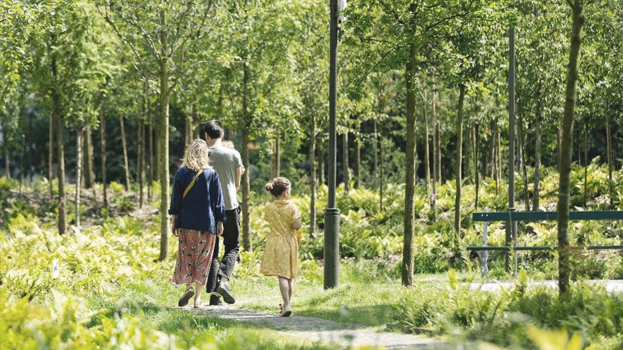 Un nouveau regard sur la nature en ville – Vers une ville vivante : réinventer nos paysages urbains