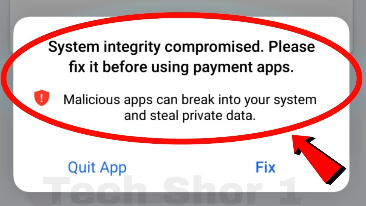 System integrity compromised  Please fix it before using payment apps