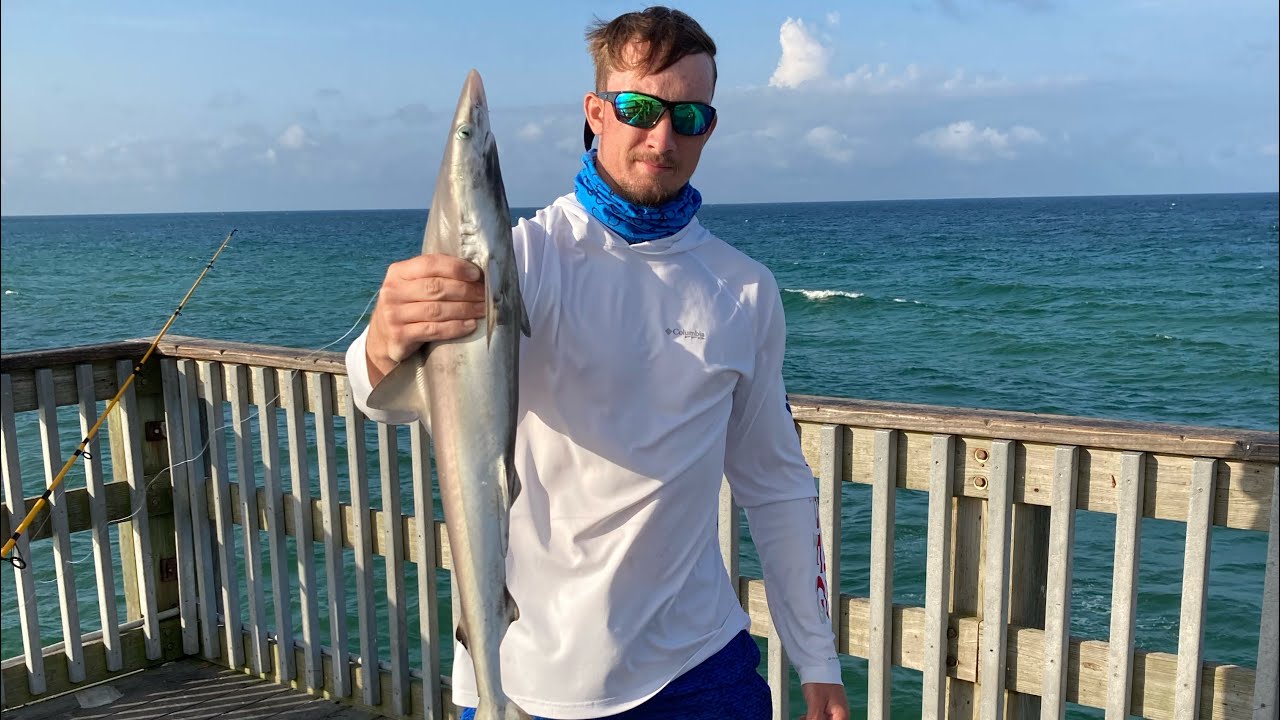 Pier fishing at St. Andrews State Park, PCB, FL - schools of fish