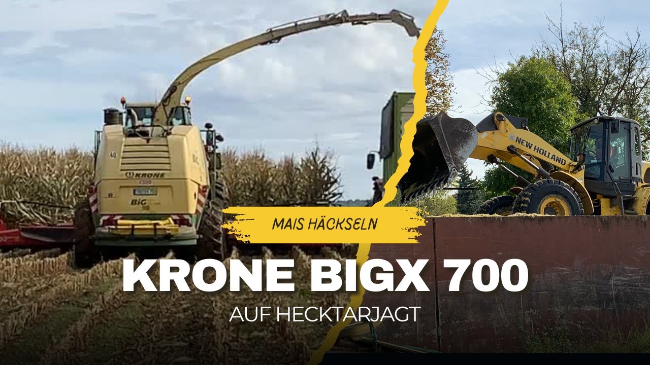 Krone Big X700 am Mais häckseln.