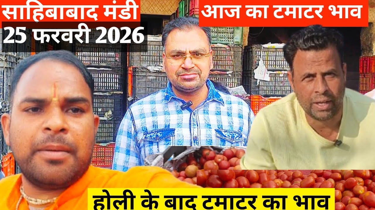 Why This Indian Mandi is Full of Tomatoes 🍅आज का टमाटर  भाव
