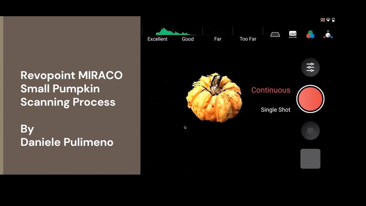 Revopoint MIRACO 3D Scanning & Processing: Mini Pumpkin