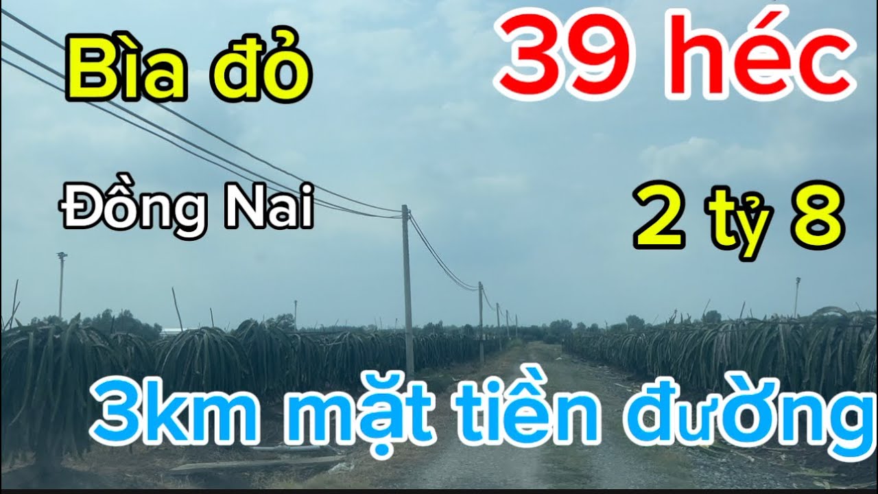 Cần bán 39 héc nông trại trái cây sổ Hồng riêng tư Nhân tại Xuân Lộc đồng Nai 