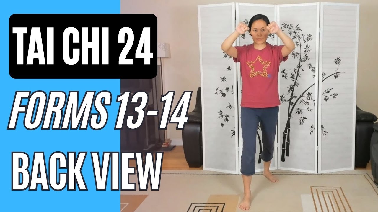 Тайцзи 24, формы 13-14. Удар правой пяткой и удар кулаками по ушам противника, вид сзади