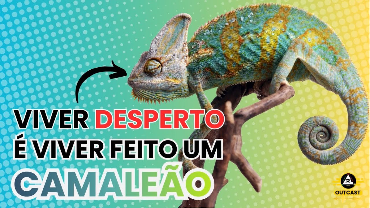 Viver desperto é viver feito um camaleão
