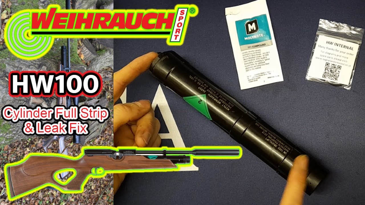 HW100 Air Cylinder Full Strip & Service + Leak Fix