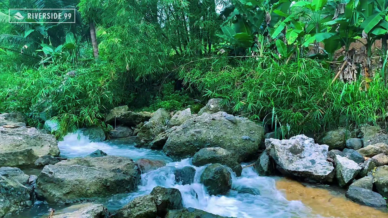 River Sounds White Noise for Deep Sleeping | Peaceful Flowing Water to Calm the Mind