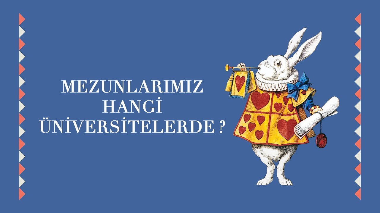 Mezunlarımız Hangi Üniversitelerde?