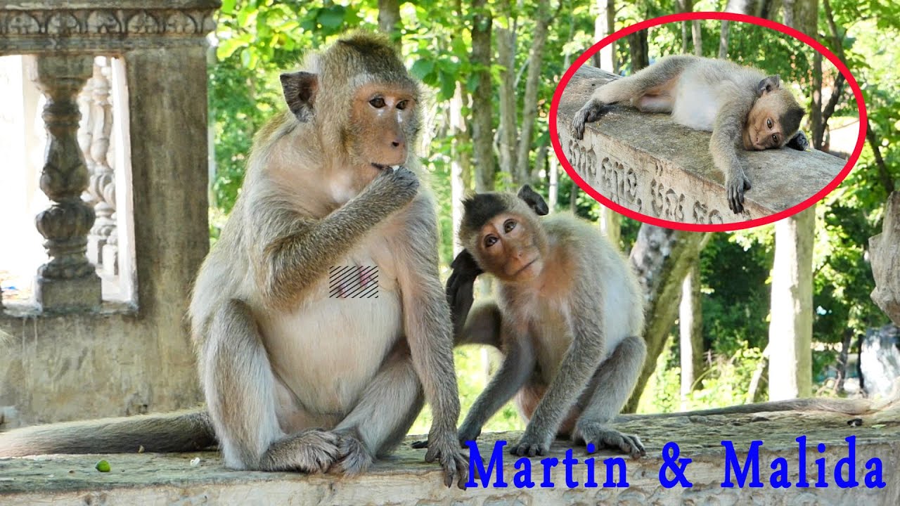 Martin love his grandmother Malida so much that he is not far from her, even though he is a teenager