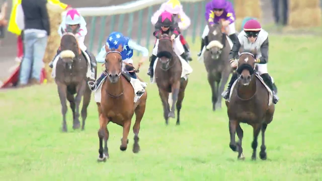 B. Soumillon Pony Trophy 2025 – Waregem Koerse | Volledige Race