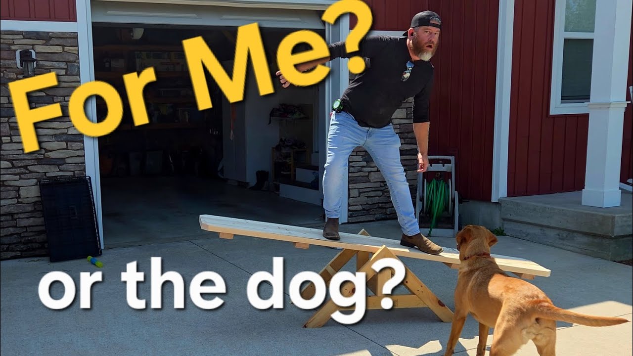 I make a See Saw! For the dog...