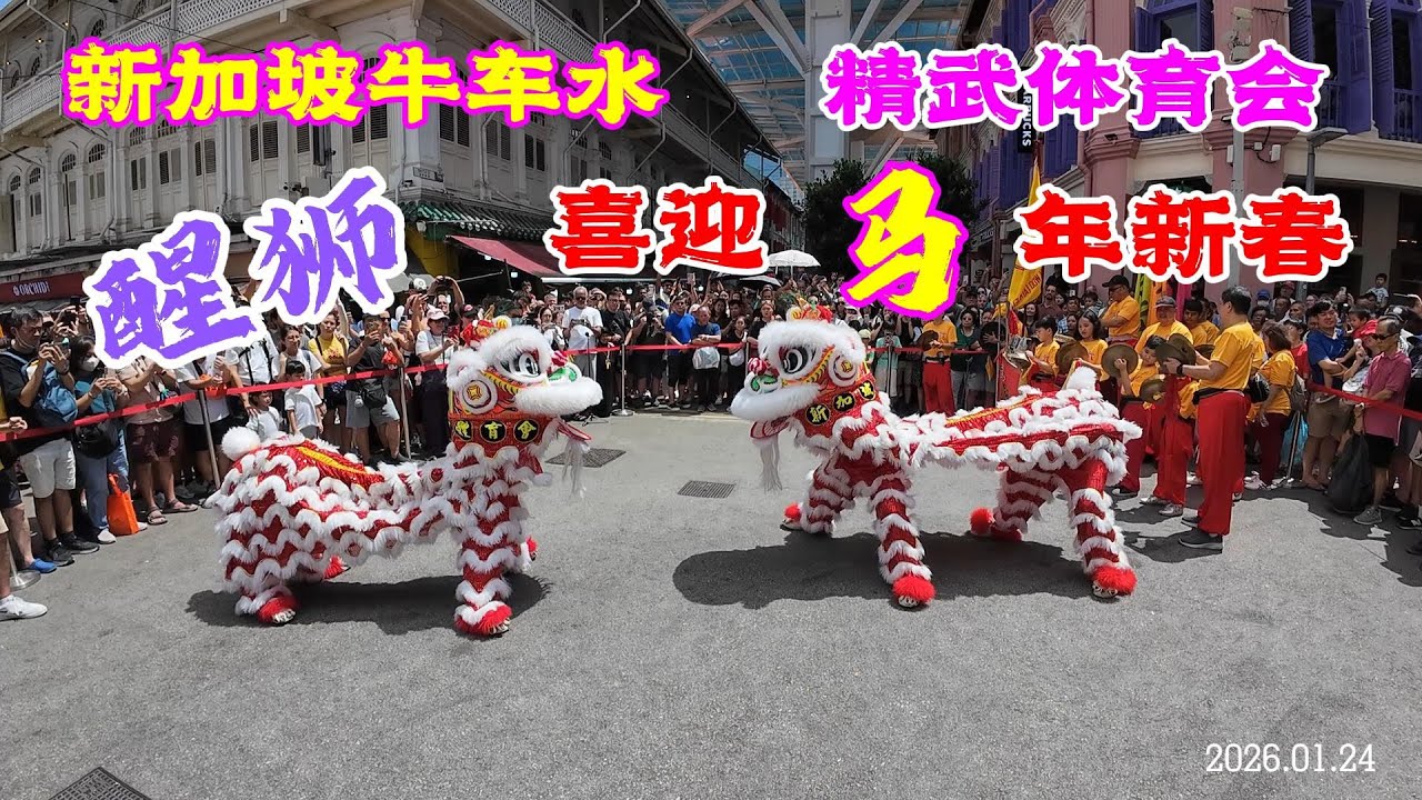 醒狮喜迎马年新春 新加坡牛车水 精武体育会 Lion Dance to Usher in the Year of Horse Chinatown SG Chin Woo Troupe