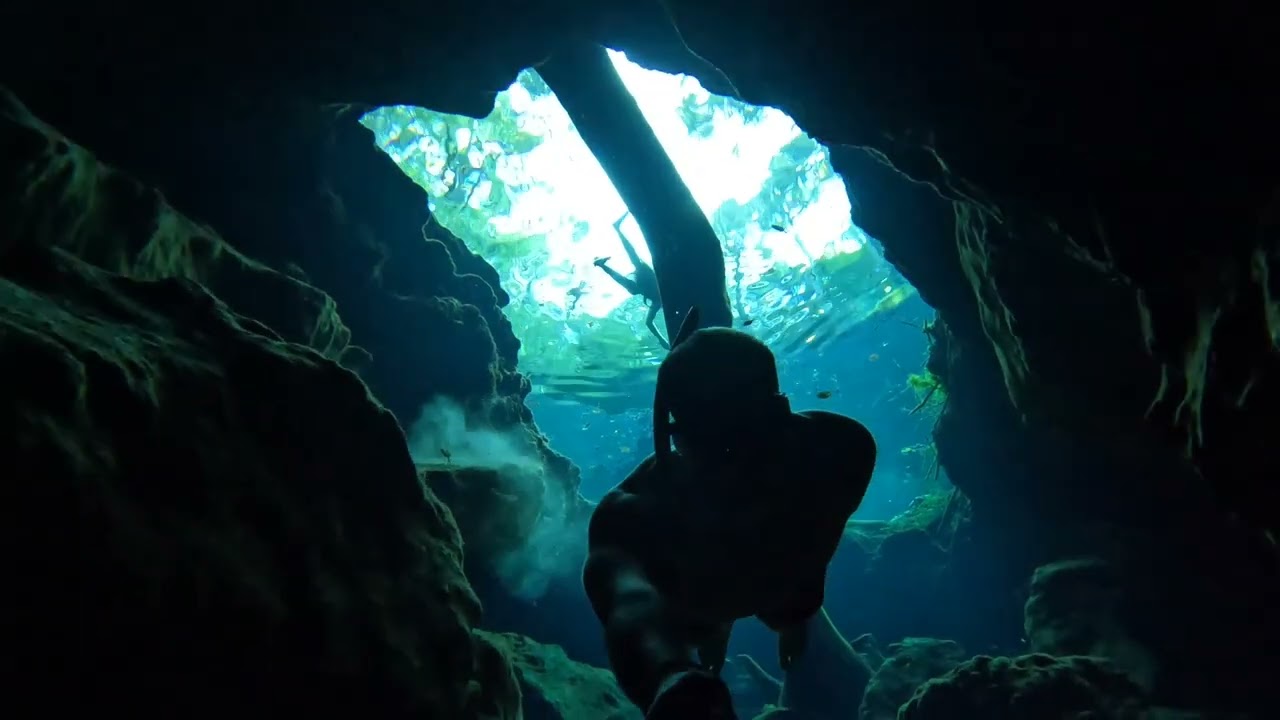 Florida Clear Water Freediving