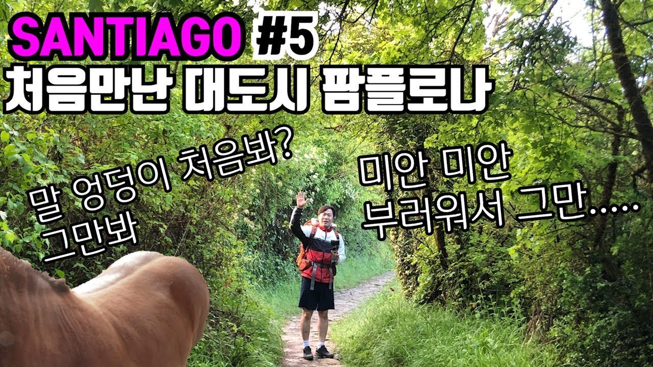 초보유튜버의 유럽여행Vlog✈️산티아고순례길#5🌵동물들과 함께한 팜플로나 가는길 처음 보는 대도시에 취한다 캬~