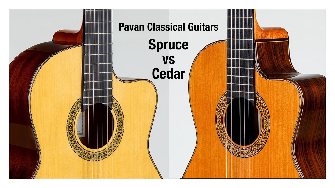 Comparing Spruce and Cedar Classical Guitars -Pavan TP-30 AC Cutaway *No Reverb Added