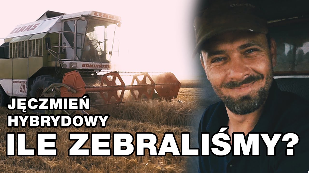 ŻNIWA 2020 w MAZOWIECKIM. WYSOKIE PLONY w trudnym sezonie | JĘCZMIEŃ