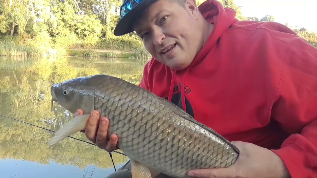 Day trip to more hull nice day out 