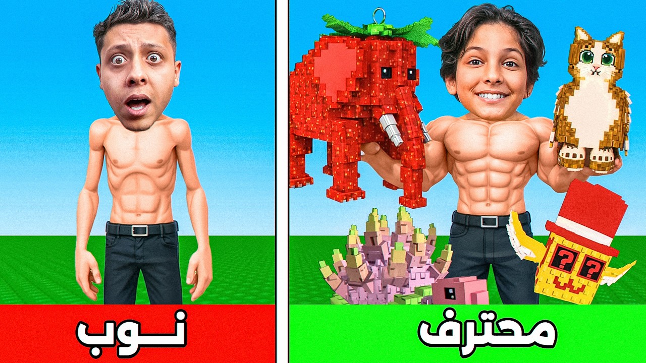 المعضل ضد النوب في سرقة البرينروت 🔥|ROBLOX