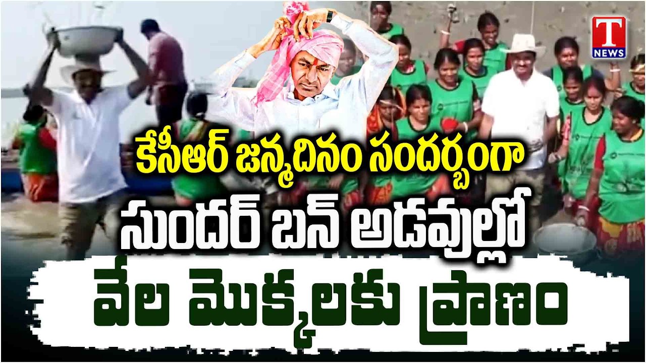 Green India Challenge: Ex MP Santosh Kumar Team Massive Plantation in Sundarbans for KCR Birthday