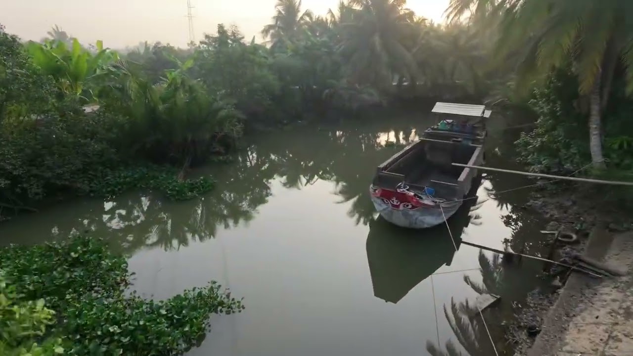 Buổi sáng ở quê vl thật bình yên