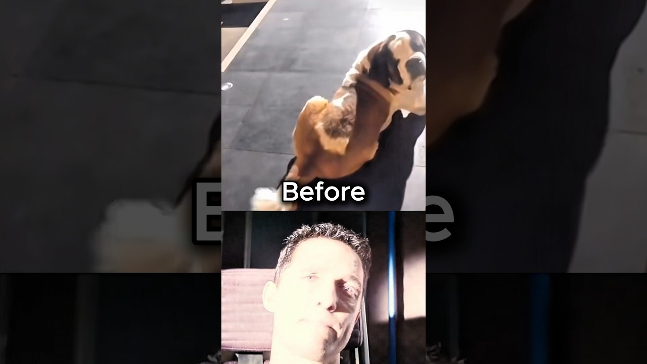 Dog passed away💔 (try not to cry) 