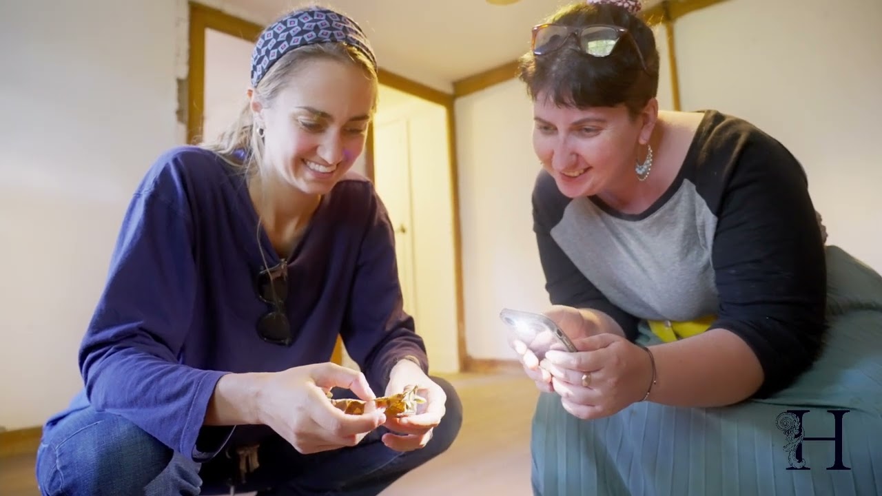 Valentine Whitman House Discovery