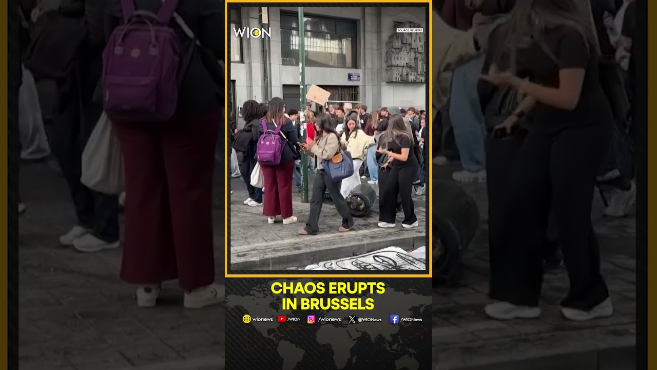 Brussels Protests Turn Violent Over Planned Education Reforms | WION SHORTS