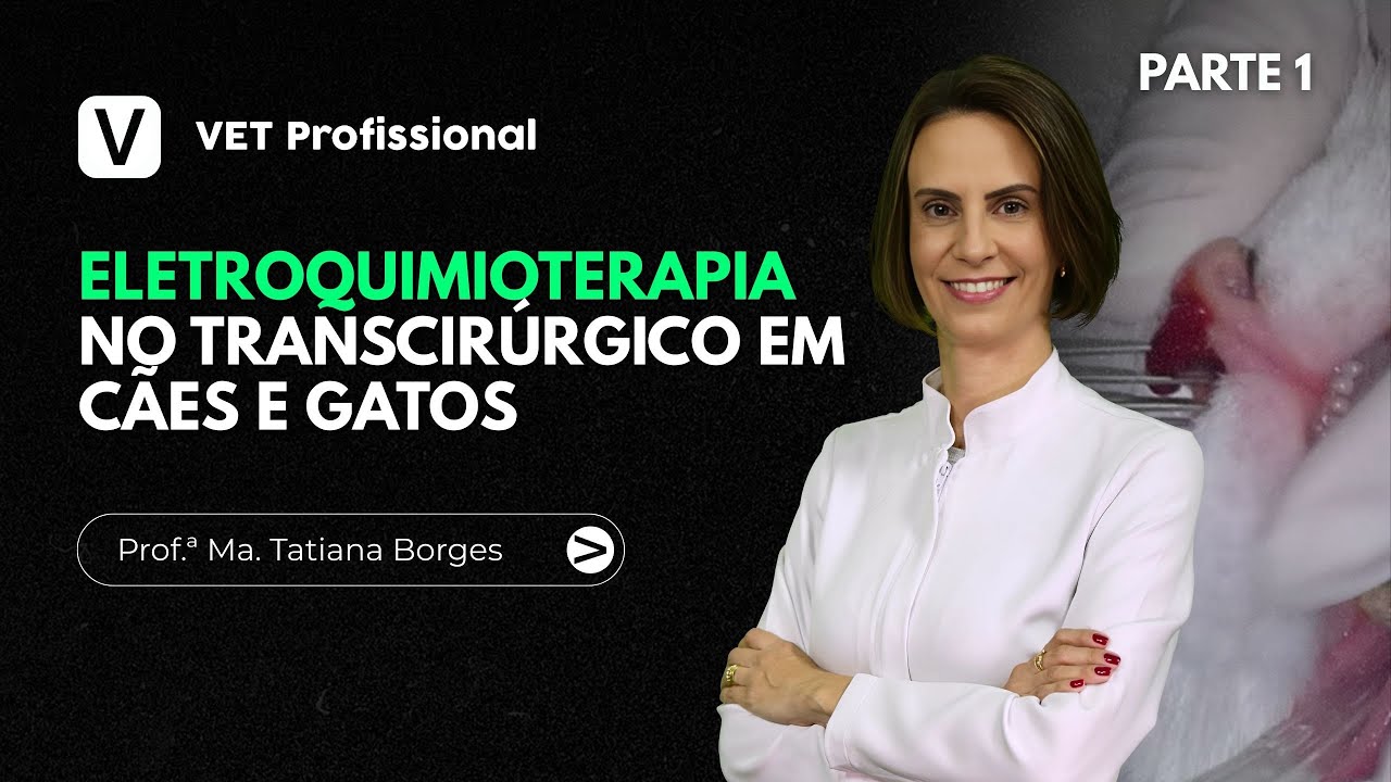 Eletroquimioterapia no Transcirúrgico em Cães e Gatos - Parte I | VET Profissional