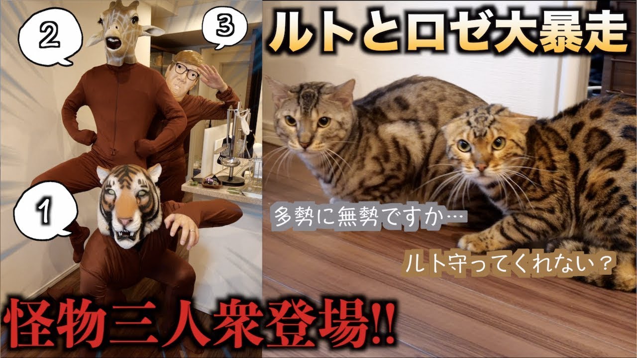 トラウマ大集合！！ルトとロゼの前に3匹の怪物が出てきた結果。。。