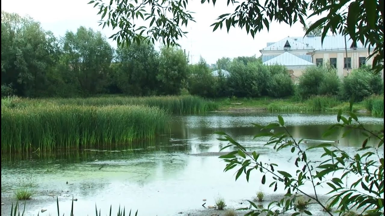 Озеро Ковалёвское в Бийске может получить вторую жизнь (